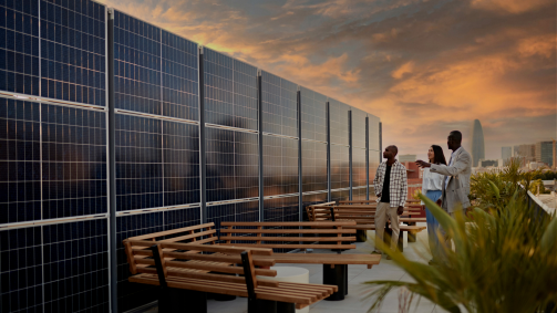 Understanding regulation